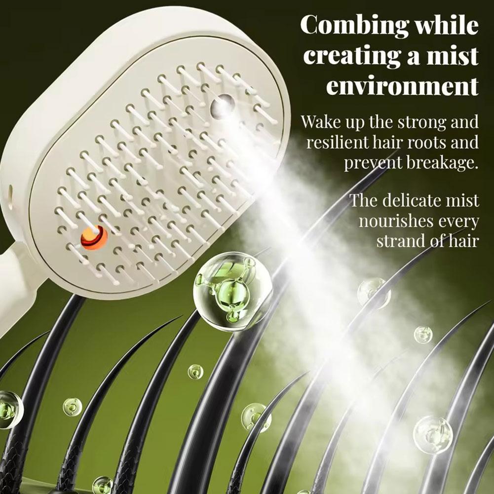 Electric Spray Air Bag Massage - đánh giá và giá Hair Care Essential Oil Atomizing