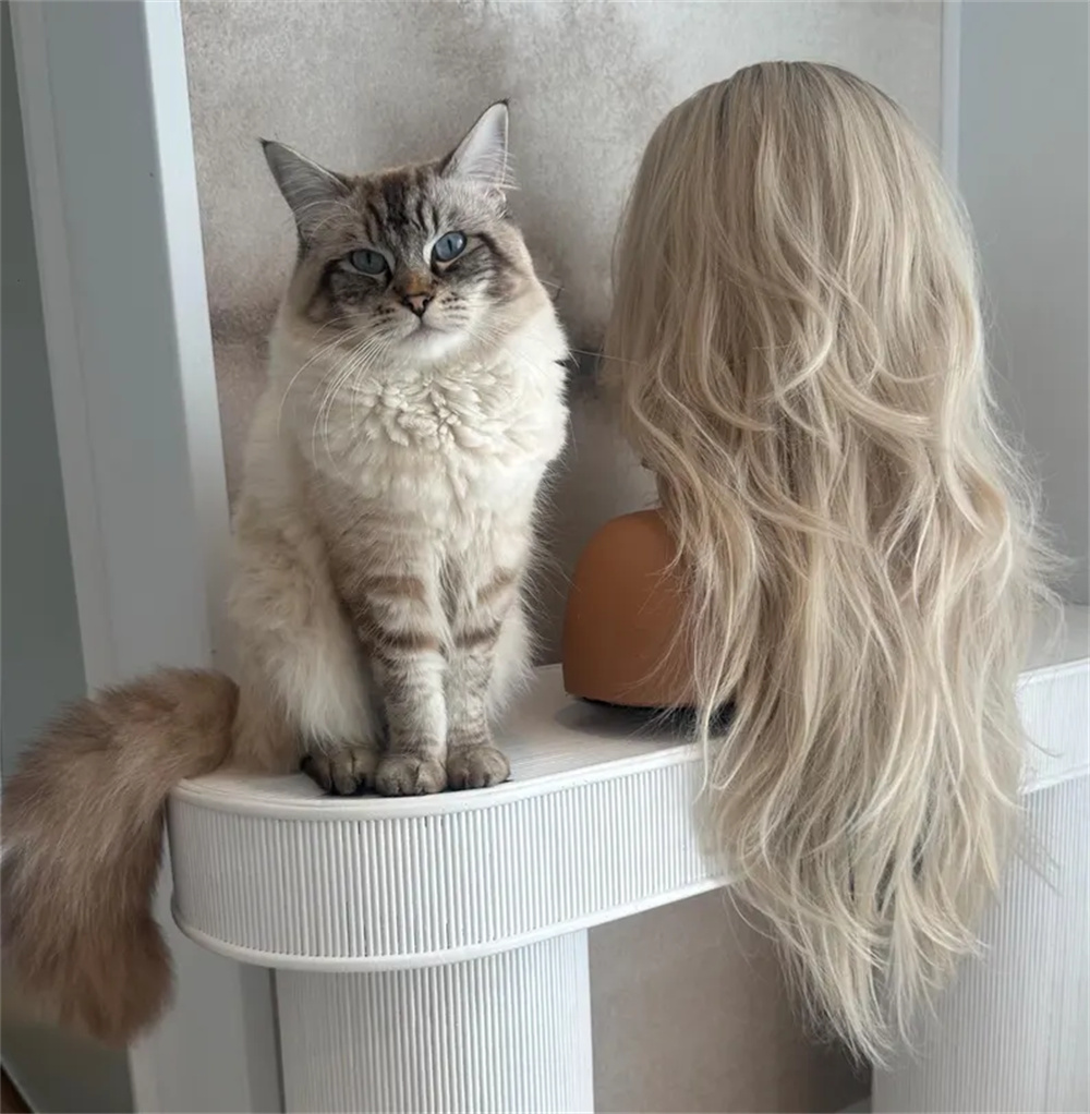 Blonde Layered Wavy Lace Front - đánh giá và giá Hair Care Wavy Hair