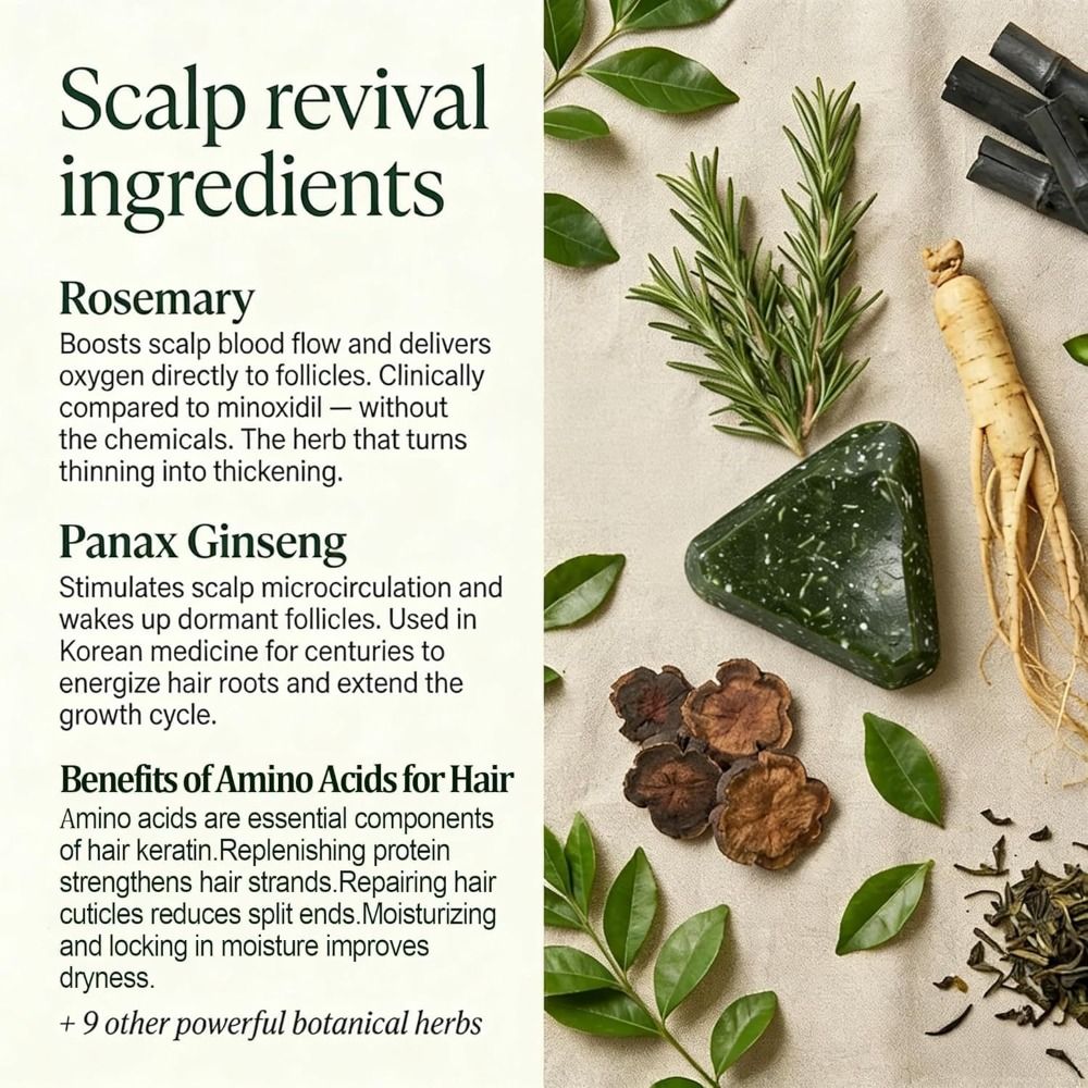 Rosemary Amino Acid Korean Sca - đánh giá và giá Hair Care Korean