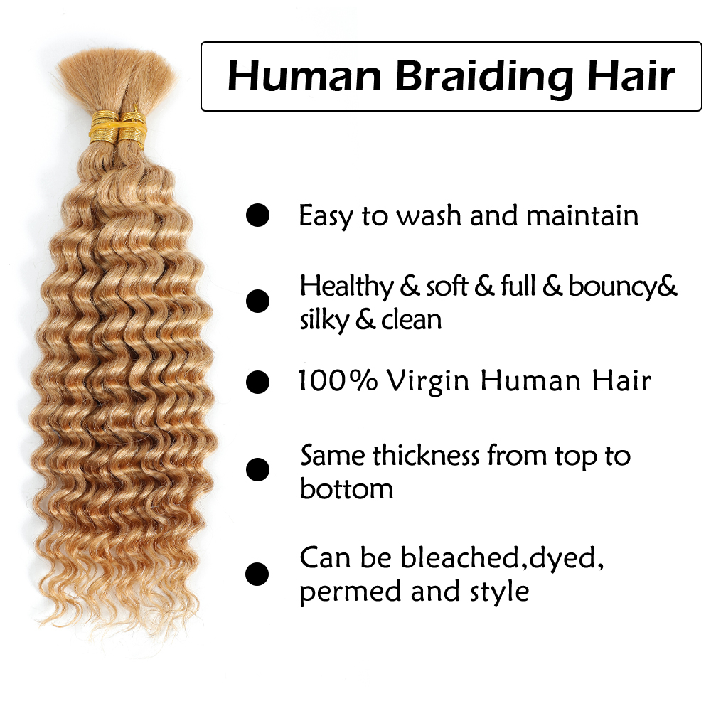 Human Braiding Hair 2Bundle 10 - đánh giá và giá Hair Care Wavy Hair